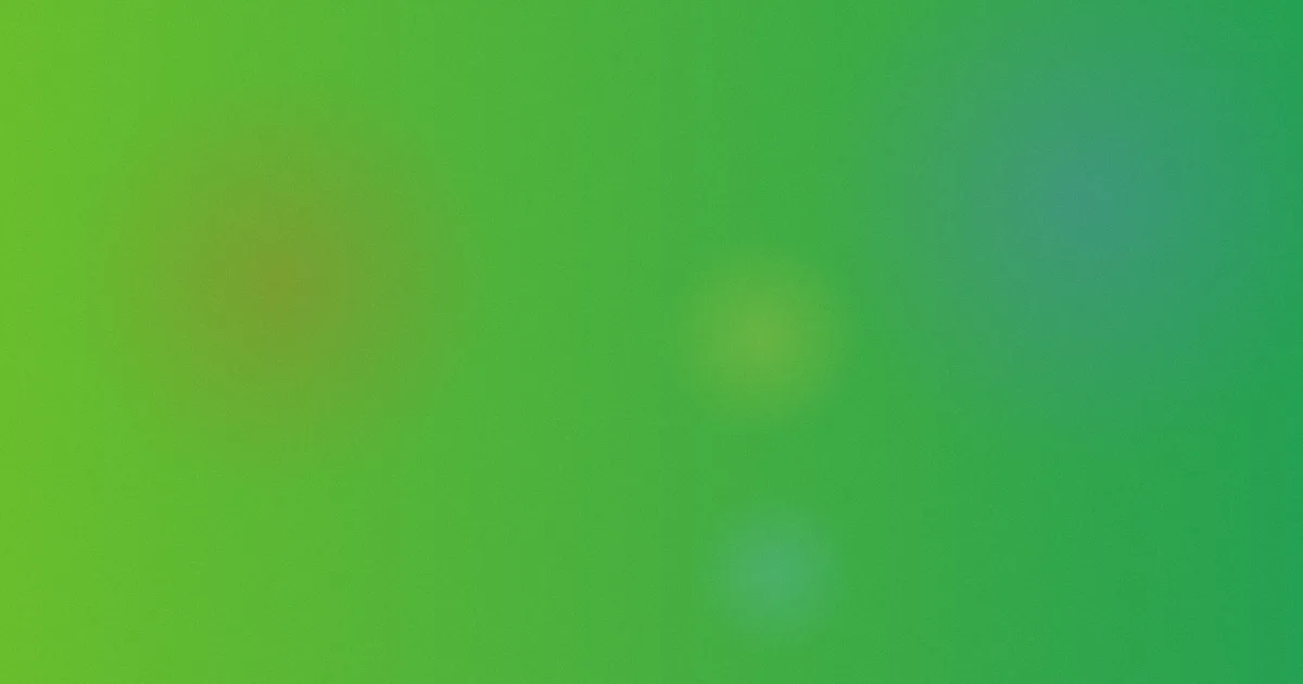 跆拳道对比：一位家长的选择复盘